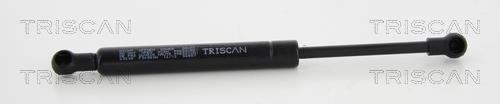 Vérin (Vérin de hayon) Triscan A/S ref. 8710 23238