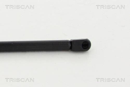 Vérin (Vérin de hayon) Triscan A/S 8710 23239