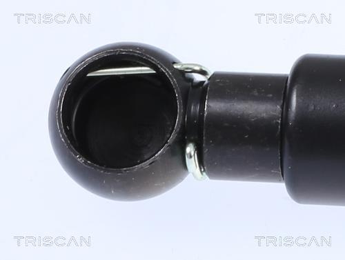 Muelle neumático Triscan A/S ref. 8710 23240