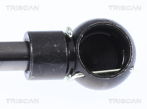 Muelle neumático Triscan A/S ref. 8710 23240