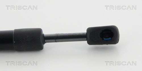 Muelle neumático Triscan A/S 8710 23248