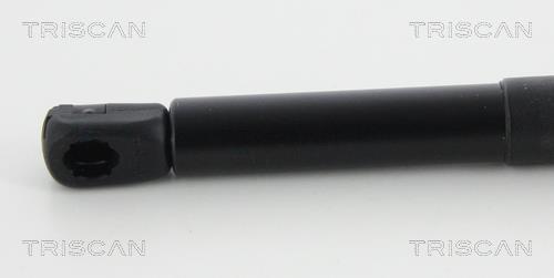 Muelle neumático Triscan A/S 8710 23248