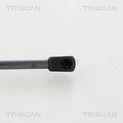 Cilindro, vidro traseiro Triscan A/S ref. 8710 23249