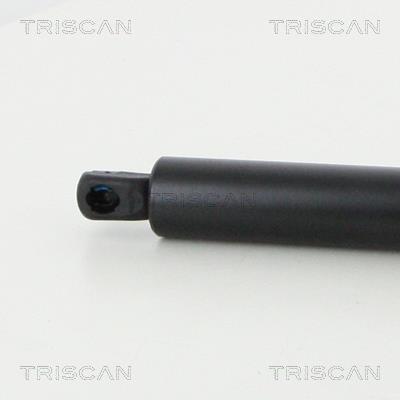 Cilindro, vidro traseiro Triscan A/S ref. 8710 23250