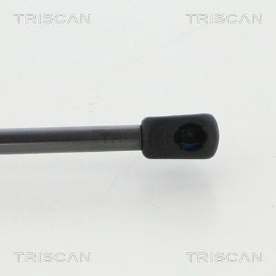 Cilindro, vidro traseiro Triscan A/S ref. 8710 23250