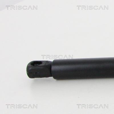 Vérin (Vérin de hayon) Triscan A/S 8710 23251