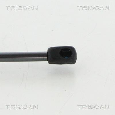 Vérin (Vérin de hayon) Triscan A/S 8710 23251