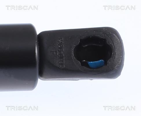 Vérin (Vérin de hayon) Triscan A/S 8710 23253