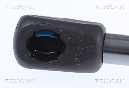 Vérin (Vérin de hayon) Triscan A/S 8710 23253