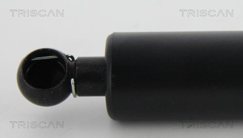Vérin (Vérin de hayon) Triscan A/S 8710 23294