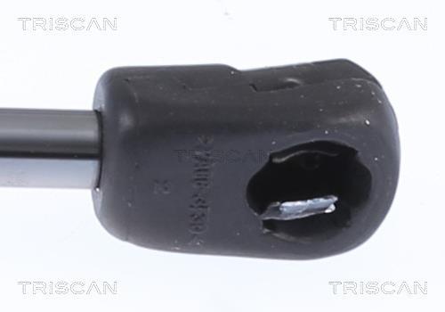 Vérin (Vérin de hayon) Triscan A/S ref. 8710 23295
