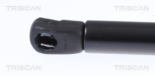 Cilindro Triscan A/S 8710 23296