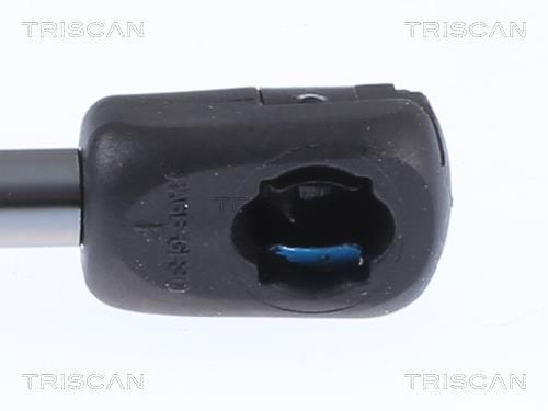 Cilindro Triscan A/S 8710 23296