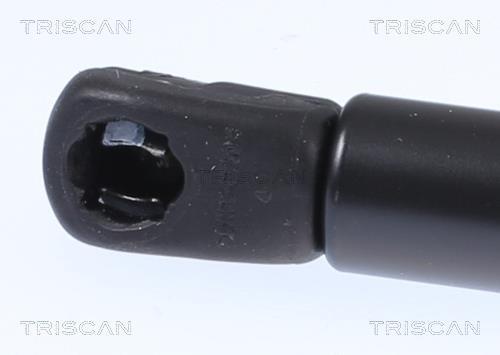 Vérin (Vérin de hayon) Triscan A/S 8710 23297