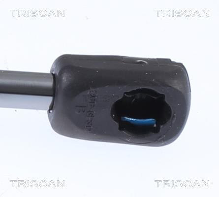 Vérin (Vérin de hayon) Triscan A/S 8710 23297