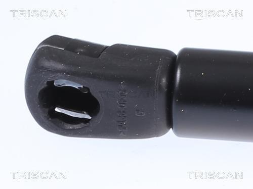Vérin (Vérin de hayon) Triscan A/S ref. 8710 23298