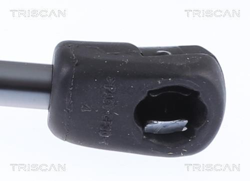 Vérin (Vérin de hayon) Triscan A/S ref. 8710 23298