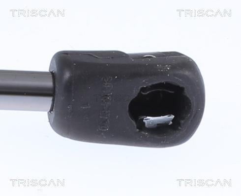 Vérin (Vérin de hayon) Triscan A/S ref. 8710 23299