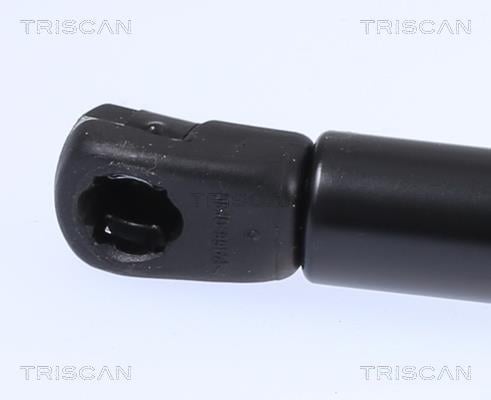 Vérin (Vérin de hayon) Triscan A/S ref. 8710 23299