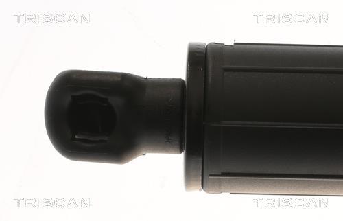 Muelle neumático, maletero/compartimento de carga Triscan A/S ref. 8710 23303
