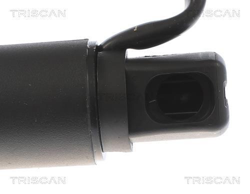 Muelle neumático, maletero/compartimento de carga Triscan A/S ref. 8710 23304
