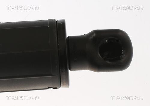 Muelle neumático, maletero/compartimento de carga Triscan A/S ref. 8710 23306