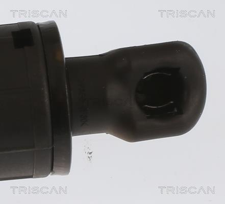 Muelle neumático, maletero/compartimento de carga Triscan A/S ref. 8710 23306