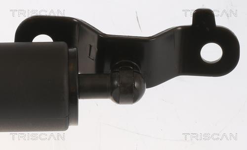 Muelle neumático, maletero/compartimento de carga Triscan A/S ref. 8710 23307