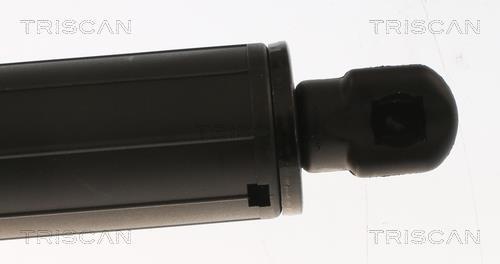 Muelle neumático, maletero/compartimento de carga Triscan A/S ref. 8710 23308