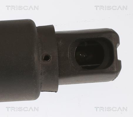 Muelle neumático, maletero/compartimento de carga Triscan A/S ref. 8710 23310