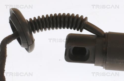 Muelle neumático, maletero/compartimento de carga Triscan A/S ref. 8710 23310