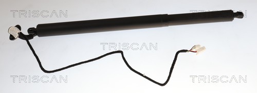 Vérin de hayon, de coffre (Vérin de hayon) Triscan A/S 8710 23318
