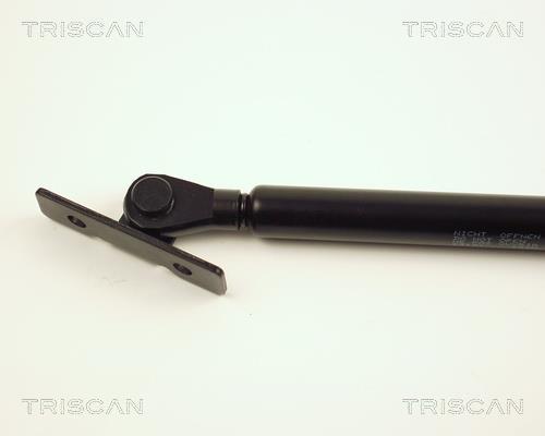 Vérin (Vérin de hayon) Triscan A/S ref. 8710 24101