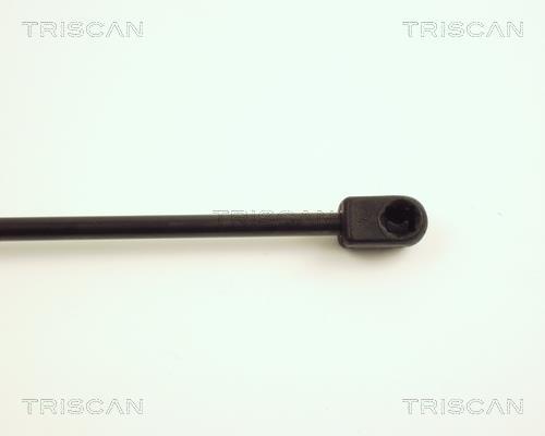 Vérin (Vérin de hayon) Triscan A/S ref. 8710 24101