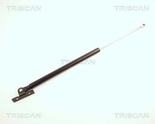 Vérin (Vérin de hayon) Triscan A/S 8710 24103