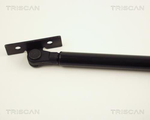 Vérin (Vérin de hayon) Triscan A/S 8710 24103