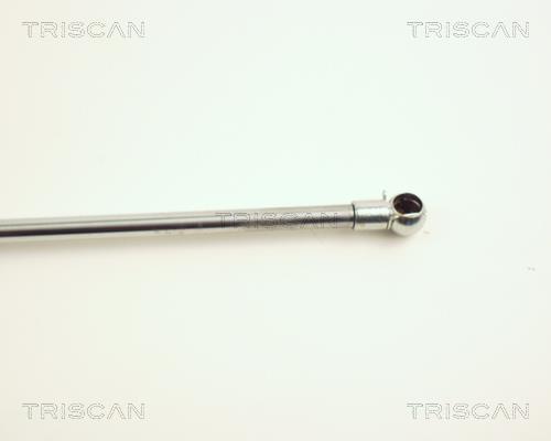 Vérin (Vérin de hayon) Triscan A/S 8710 24103