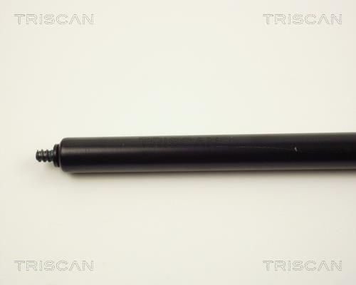 Cilindro Triscan A/S ref. 8710 24104