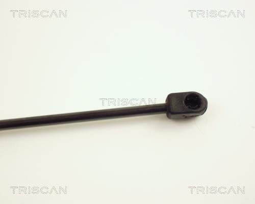 Cilindro Triscan A/S ref. 8710 24104