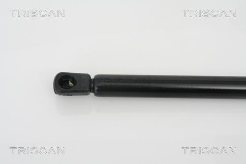 Vérin (Vérin de hayon) Triscan A/S ref. 8710 24105