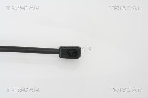 Vérin (Vérin de hayon) Triscan A/S ref. 8710 24105