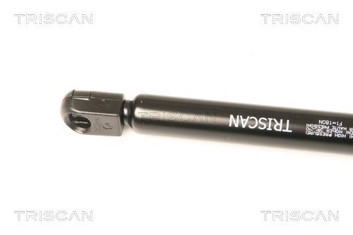 Vérin (Vérin de hayon) Triscan A/S 8710 24106