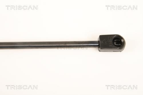 Vérin (Vérin de hayon) Triscan A/S 8710 24106