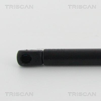 Vérin (Vérin de hayon) Triscan A/S ref. 8710 24108