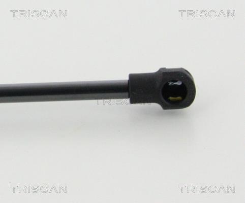 Vérin (Vérin de hayon) Triscan A/S 8710 24109