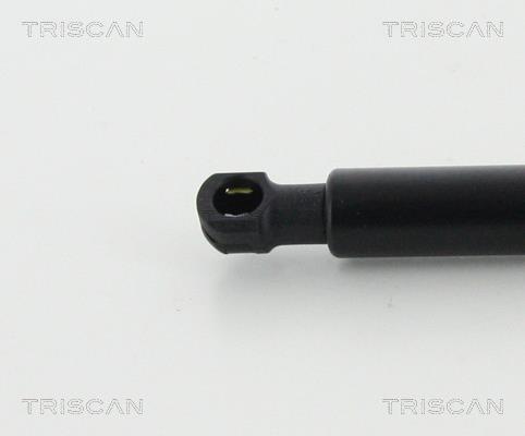 Vérin (Vérin de hayon) Triscan A/S 8710 24109