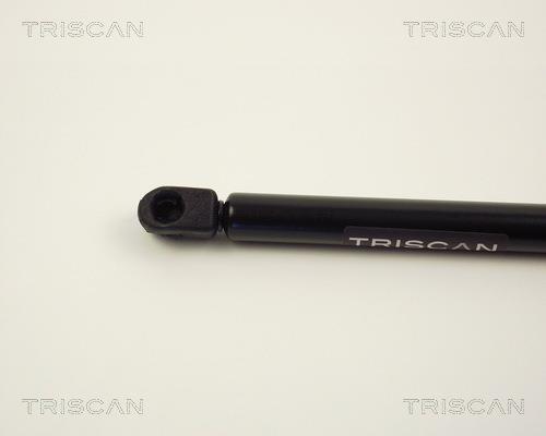 Vérin (Vérin de hayon) Triscan A/S ref. 8710 2411
