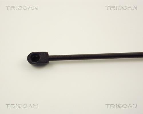 Vérin (Vérin de hayon) Triscan A/S ref. 8710 2411