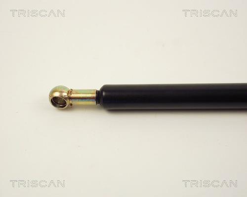 Vérin (Vérin de hayon) Triscan A/S ref. 8710 2412