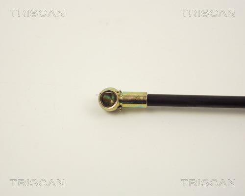 Vérin (Vérin de hayon) Triscan A/S ref. 8710 2412
